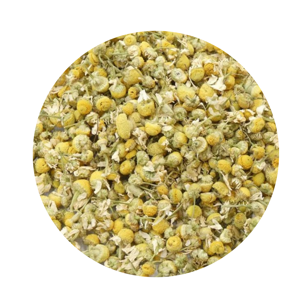 Camomille – البابونج