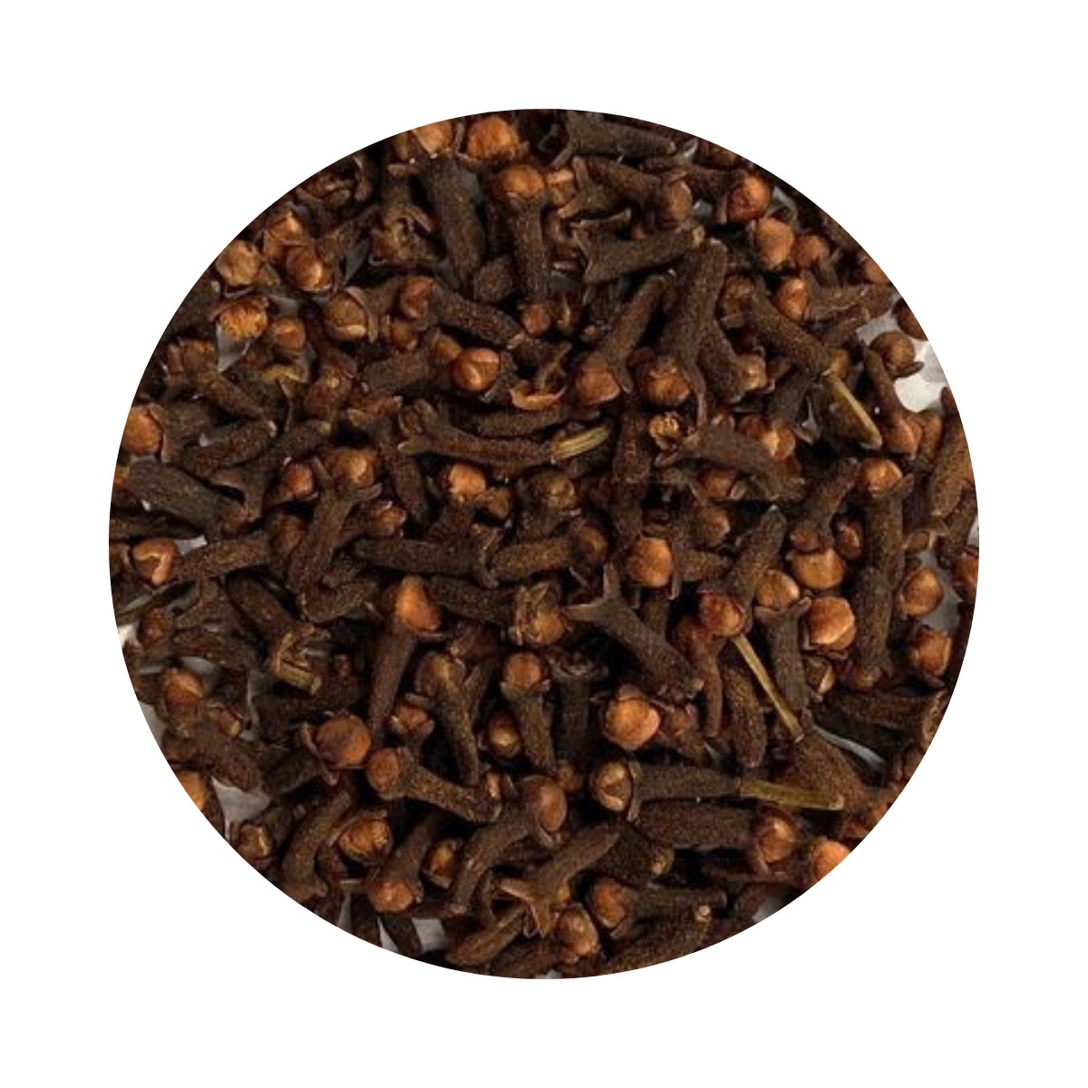 Clous de girofle – عود القرنفل