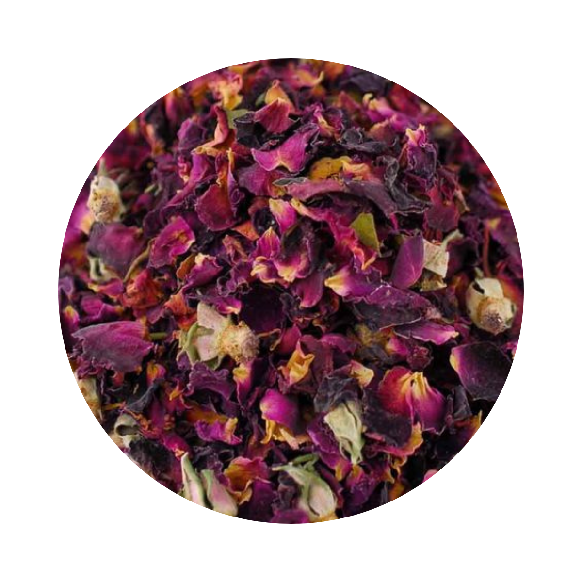 Rose séchée – ورد مجفف